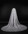 Veil-019-1